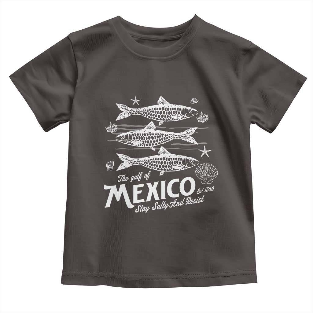 Gulf of Mexico Toddler T Shirt Golfo de México 1550 Texas Alabama Florida Beach TS10 Dark Chocolate Print Your Wear