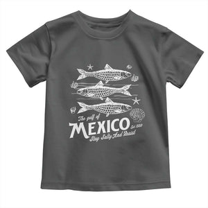 Gulf of Mexico Toddler T Shirt Golfo de México 1550 Texas Alabama Florida Beach TS10 Dark Heather Print Your Wear