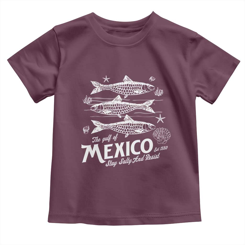 Gulf of Mexico Toddler T Shirt Golfo de México 1550 Texas Alabama Florida Beach TS10 Maroon Print Your Wear