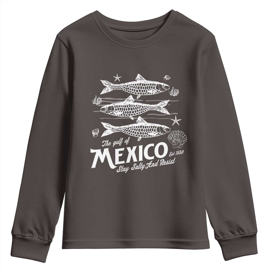 Gulf of Mexico Youth Sweatshirt Golfo de México 1550 Texas Alabama Florida Beach TS10 Dark Chocolate Print Your Wear