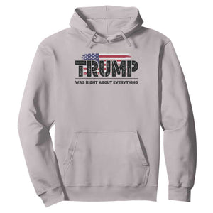 Trump Was Right About Everything Hoodie USA American Flag TS10 Ice Gray Print Your Wear