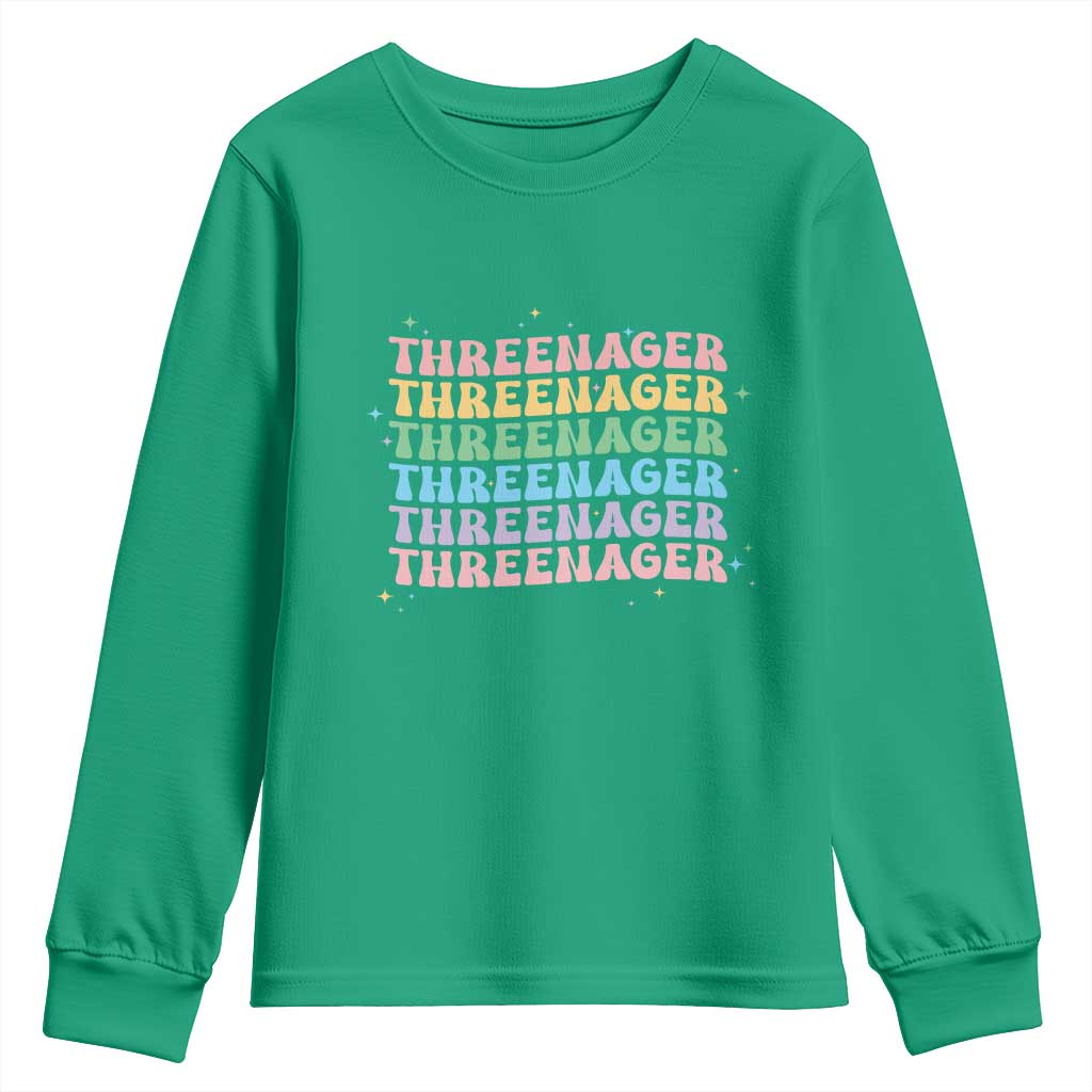 3rd Birthday Youth Sweatshirt Toddler Threenager 3 Years Old Birthday Outfit TS10 Irish Green Print Your Wear