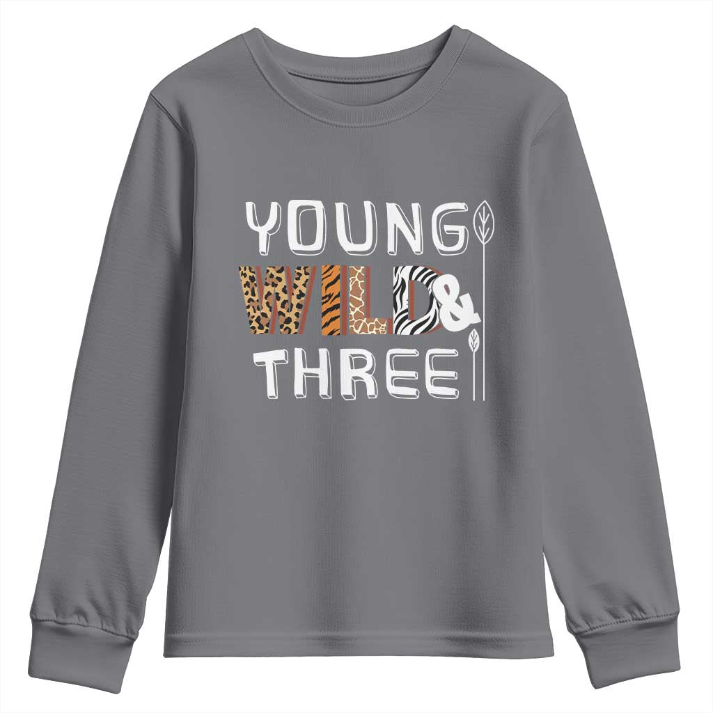 3rd Birthday Youth Sweatshirt Young Wild And Three Safari Zoo Party TS10 Charcoal Print Your Wear