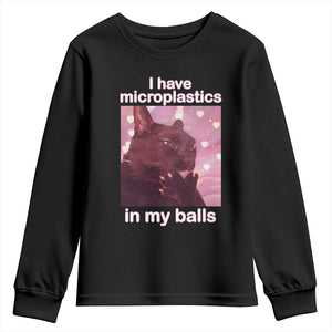 Funny Cat Meme Youth Sweatshirt I Have Microplastics In My Balls Dank Meme TS10 Black Print Your Wear