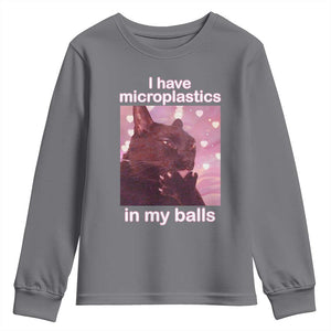 Funny Cat Meme Youth Sweatshirt I Have Microplastics In My Balls Dank Meme TS10 Charcoal Print Your Wear