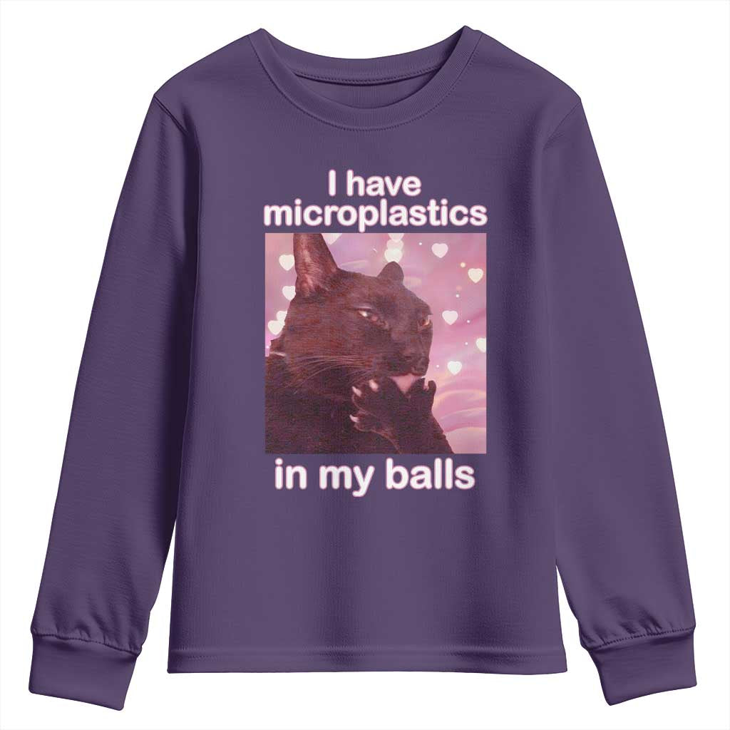 Funny Cat Meme Youth Sweatshirt I Have Microplastics In My Balls Dank Meme TS10 Purple Print Your Wear