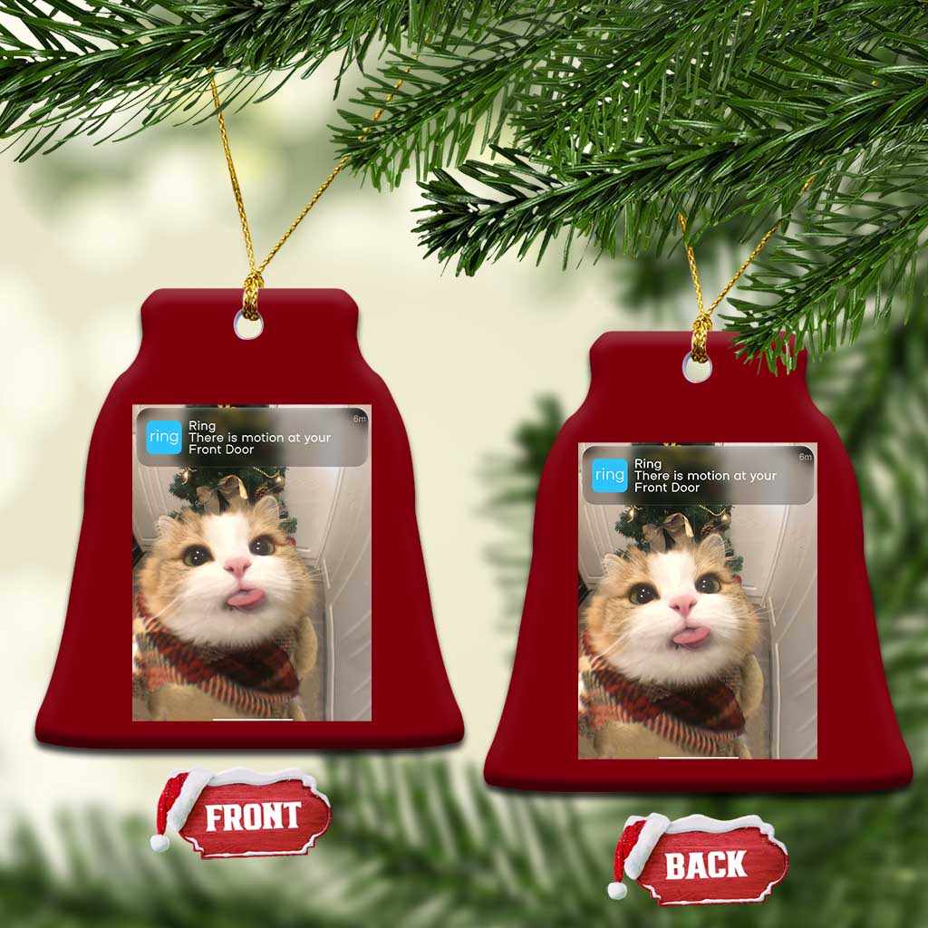 Funny Cat Christmas Ceramic Ornament Ring There is Motion at Your Front Door Meme Xmas Tree TS10 Print Your Wear