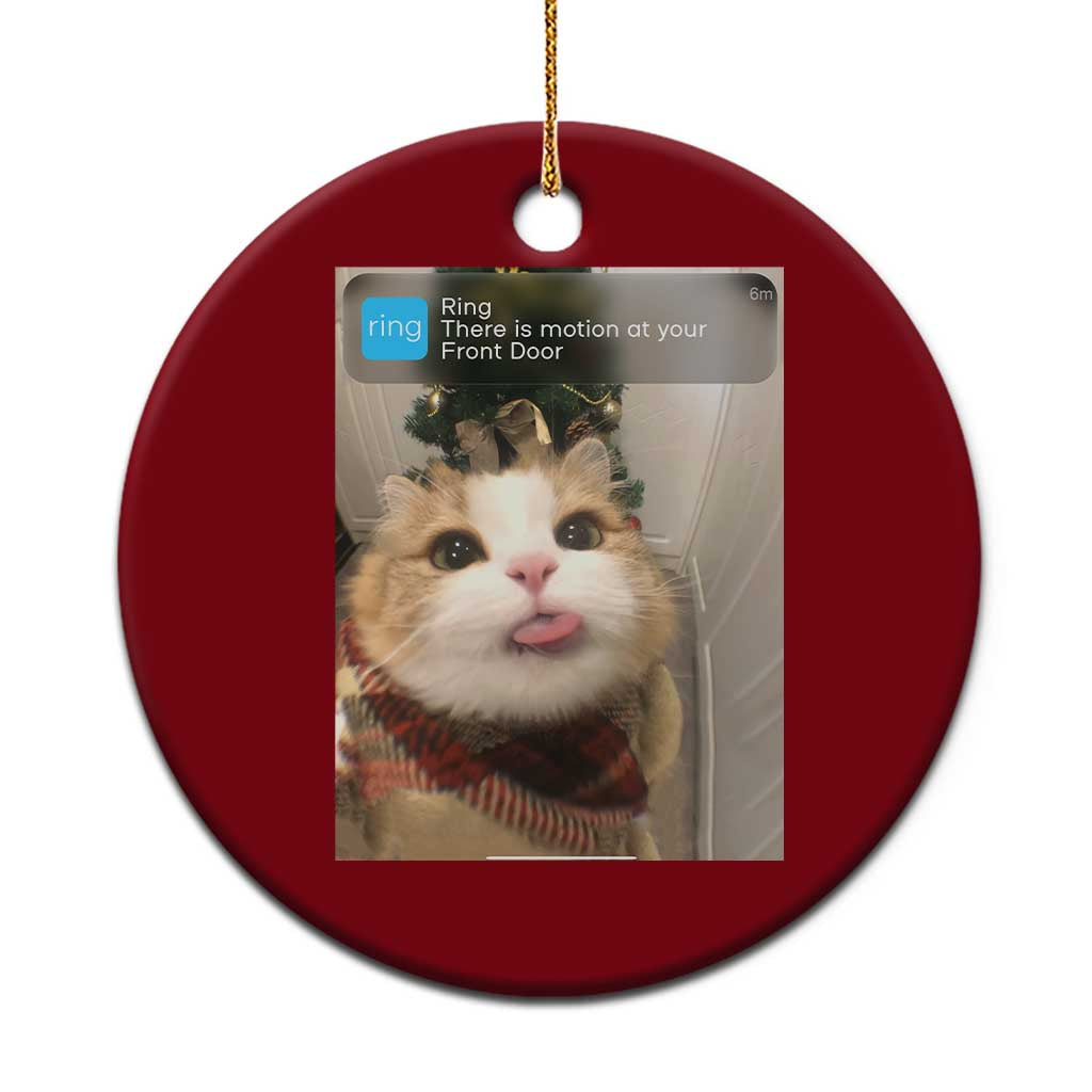 Funny Cat Christmas Ceramic Ornament Ring There is Motion at Your Front Door Meme Xmas Tree TS10 1pc Red Print Your Wear