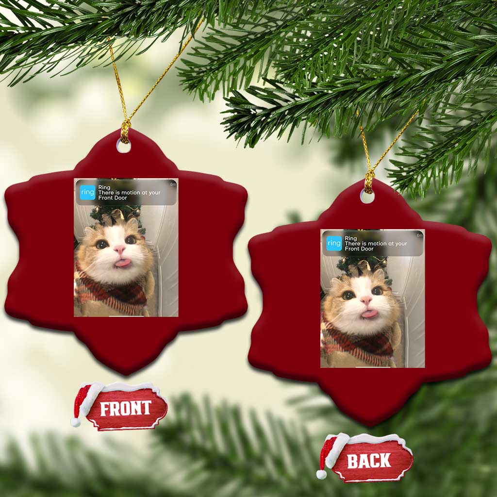 Funny Cat Christmas Ceramic Ornament Ring There is Motion at Your Front Door Meme Xmas Tree TS10 Print Your Wear