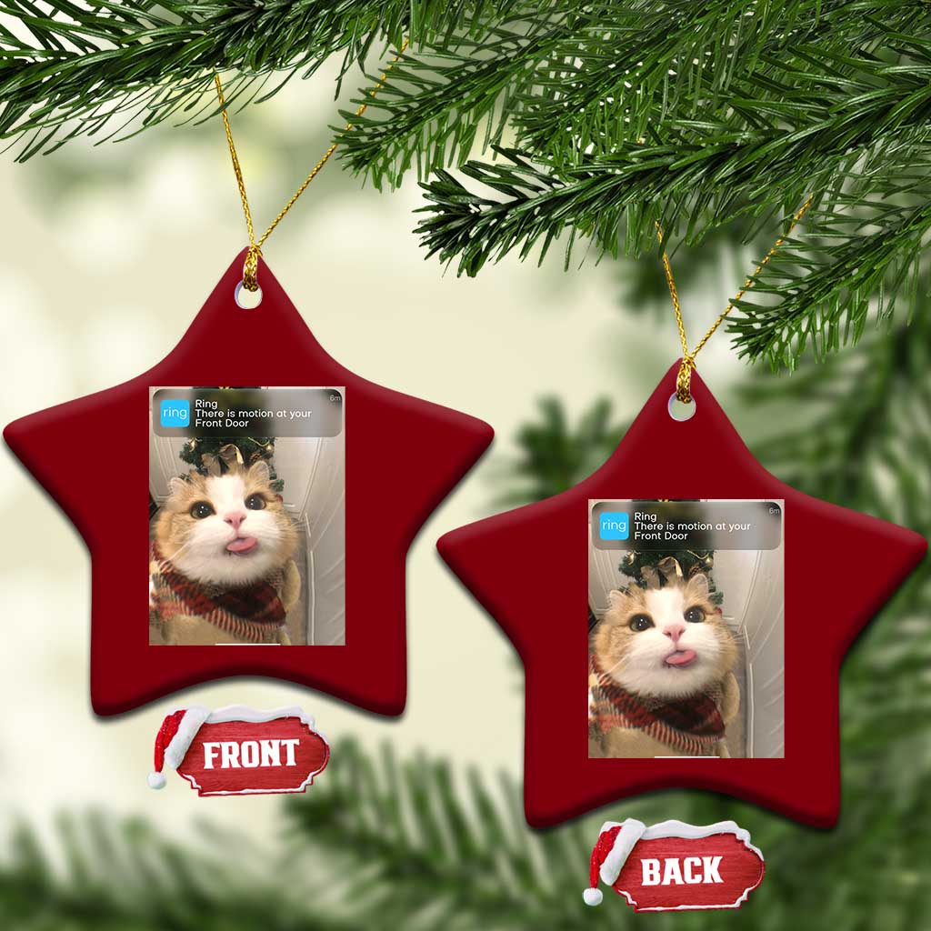 Funny Cat Christmas Ceramic Ornament Ring There is Motion at Your Front Door Meme Xmas Tree TS10 Print Your Wear