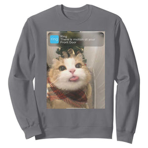 Funny Cat Christmas Sweatshirt Ring There is Motion at Your Front Door Meme Xmas Tree TS10 Charcoal Print Your Wear