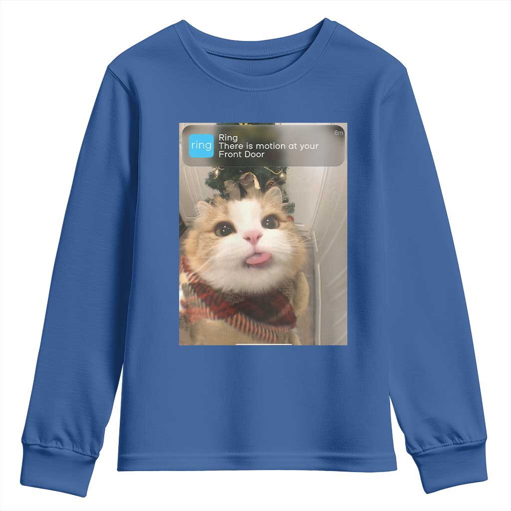 Funny Cat Christmas Youth Sweatshirt Ring There is Motion at Your Front Door Meme Xmas Tree TS10 Royal Blue Print Your Wear