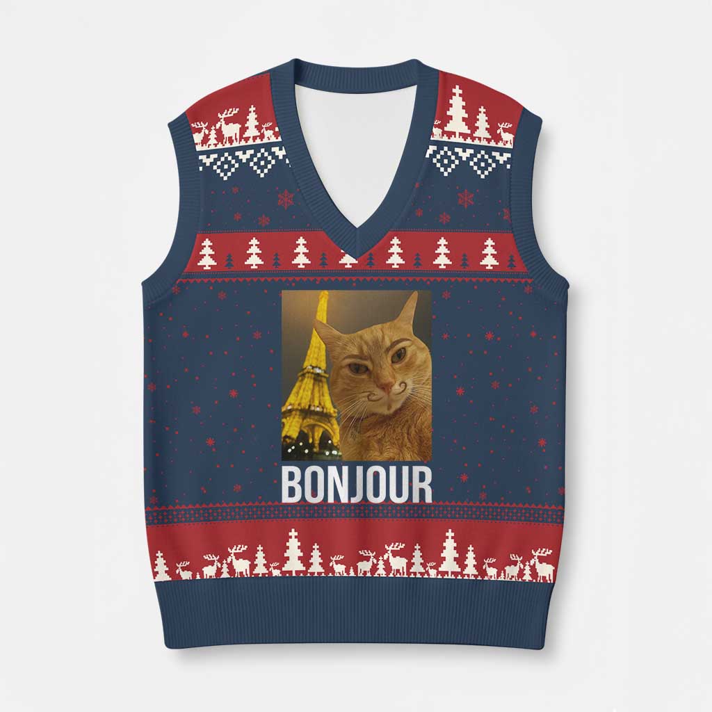 Funny Cat Bonjour V-Neck Knit Sweater Vest Paris France Eiffel Tower Orange Cat Meme TS10 Navy Red Print Your Wear