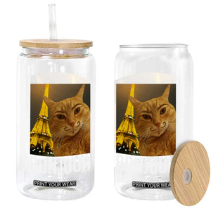 Funny Cat Bonjour Glass Can Paris France Eiffel Tower Orange Cat Meme TS10 Print Your Wear