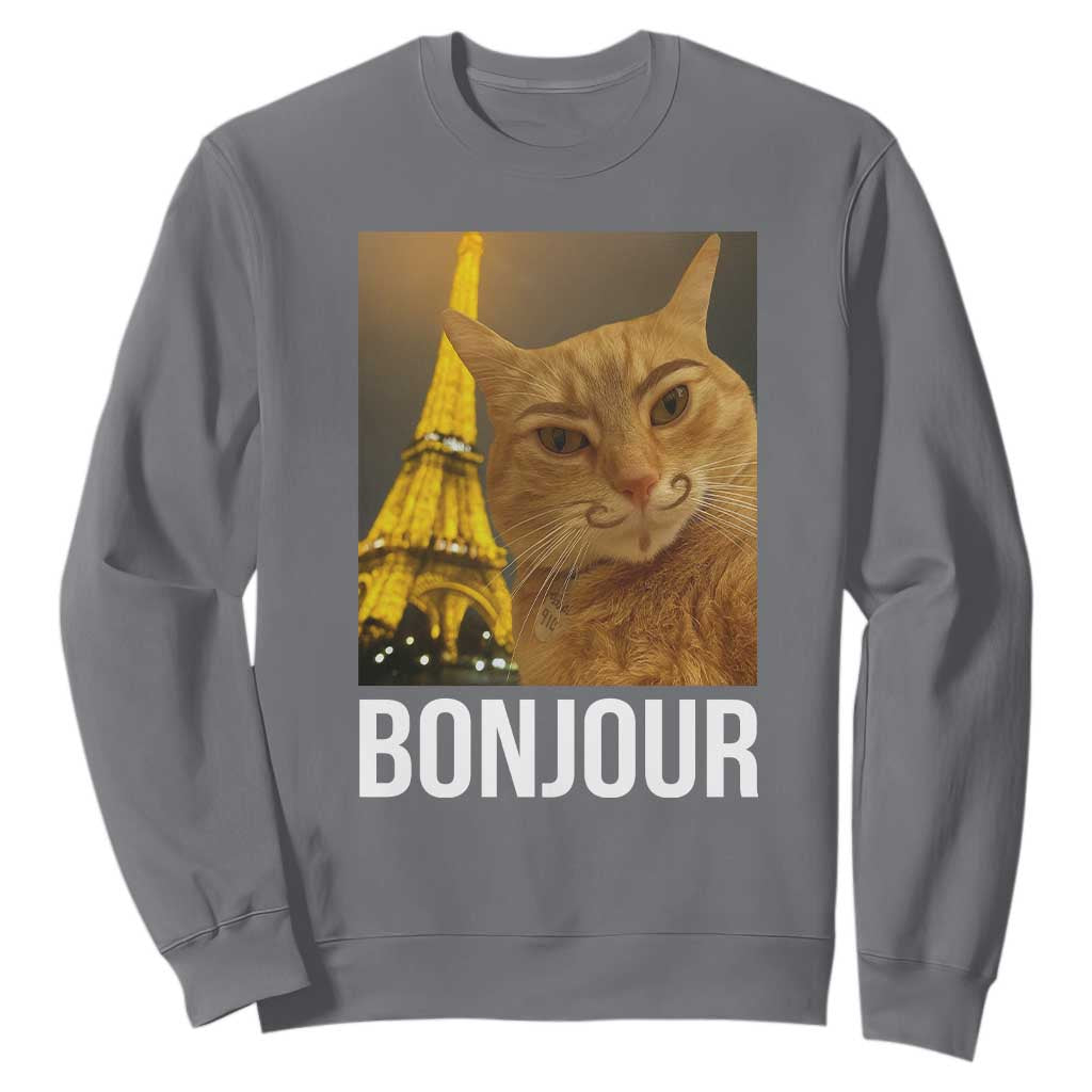 Funny Cat Bonjour Sweatshirt Paris France Eiffel Tower Orange Cat Meme TS10 Charcoal Print Your Wear