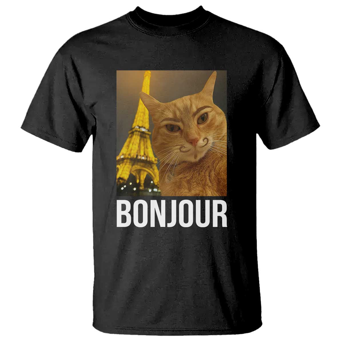 Funny Cat Bonjour T Shirt Paris France Eiffel Tower Orange Cat Meme TS10 Black Print Your Wear