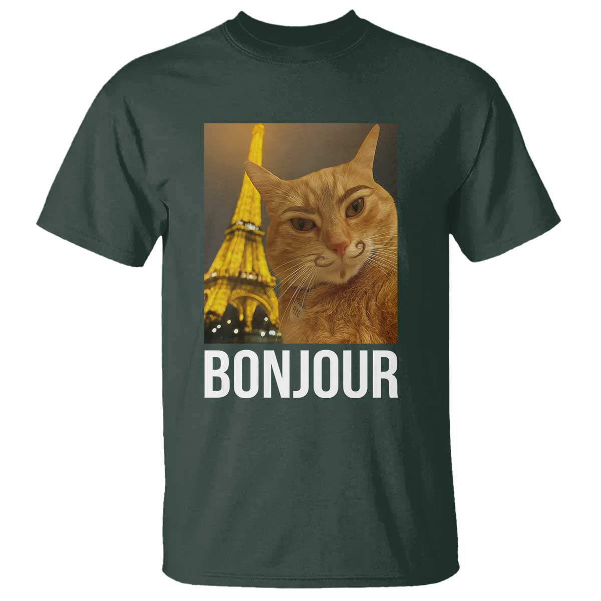 Funny Cat Bonjour T Shirt Paris France Eiffel Tower Orange Cat Meme TS10 Dark Forest Green Print Your Wear