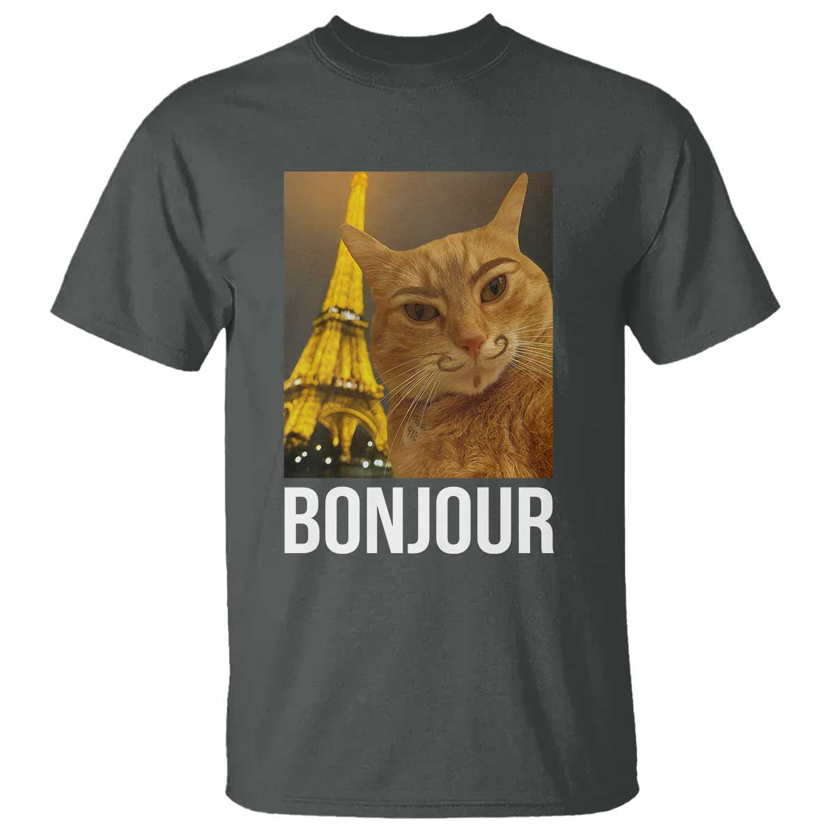Funny Cat Bonjour T Shirt Paris France Eiffel Tower Orange Cat Meme TS10 Dark Heather Print Your Wear
