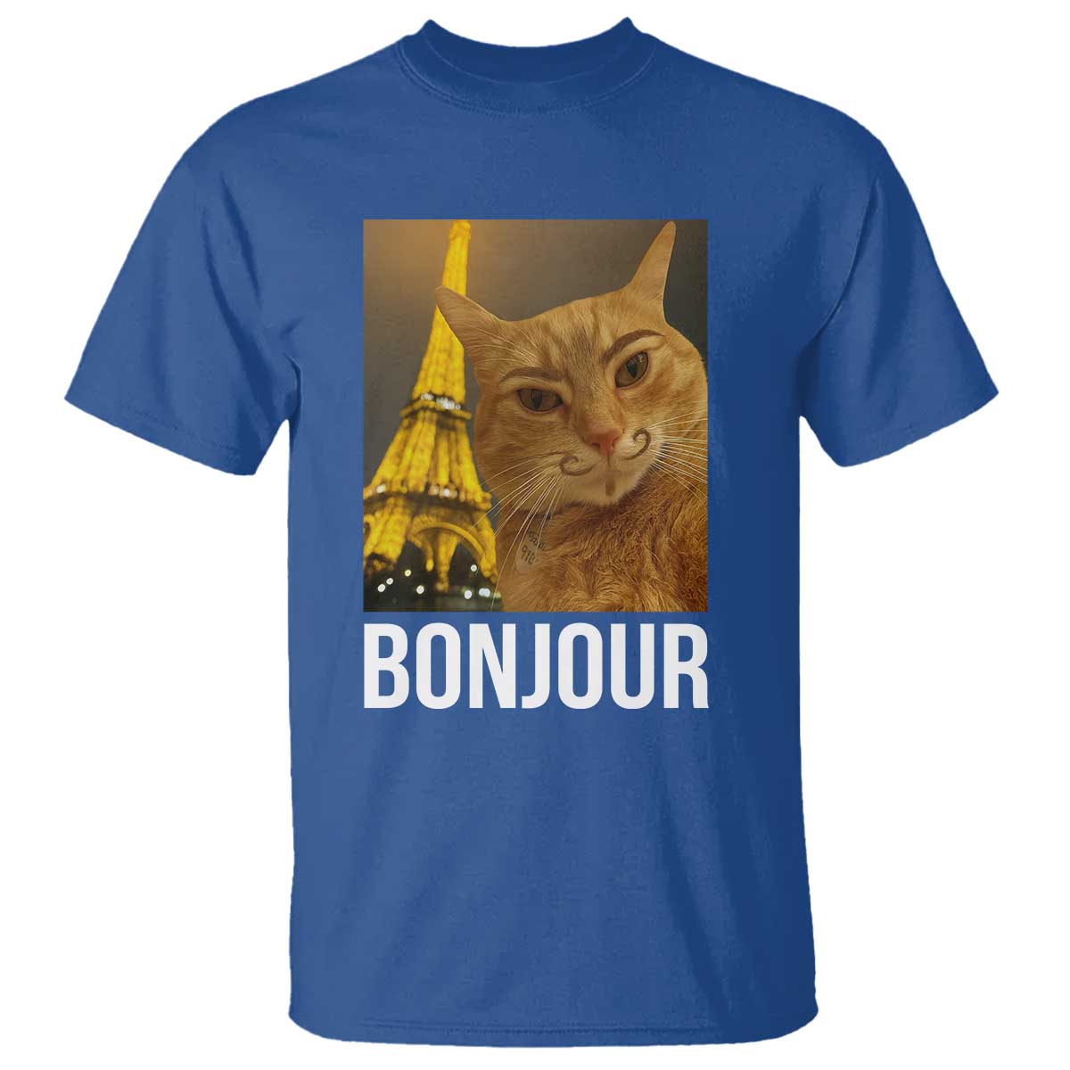 Funny Cat Bonjour T Shirt Paris France Eiffel Tower Orange Cat Meme TS10 Royal Blue Print Your Wear
