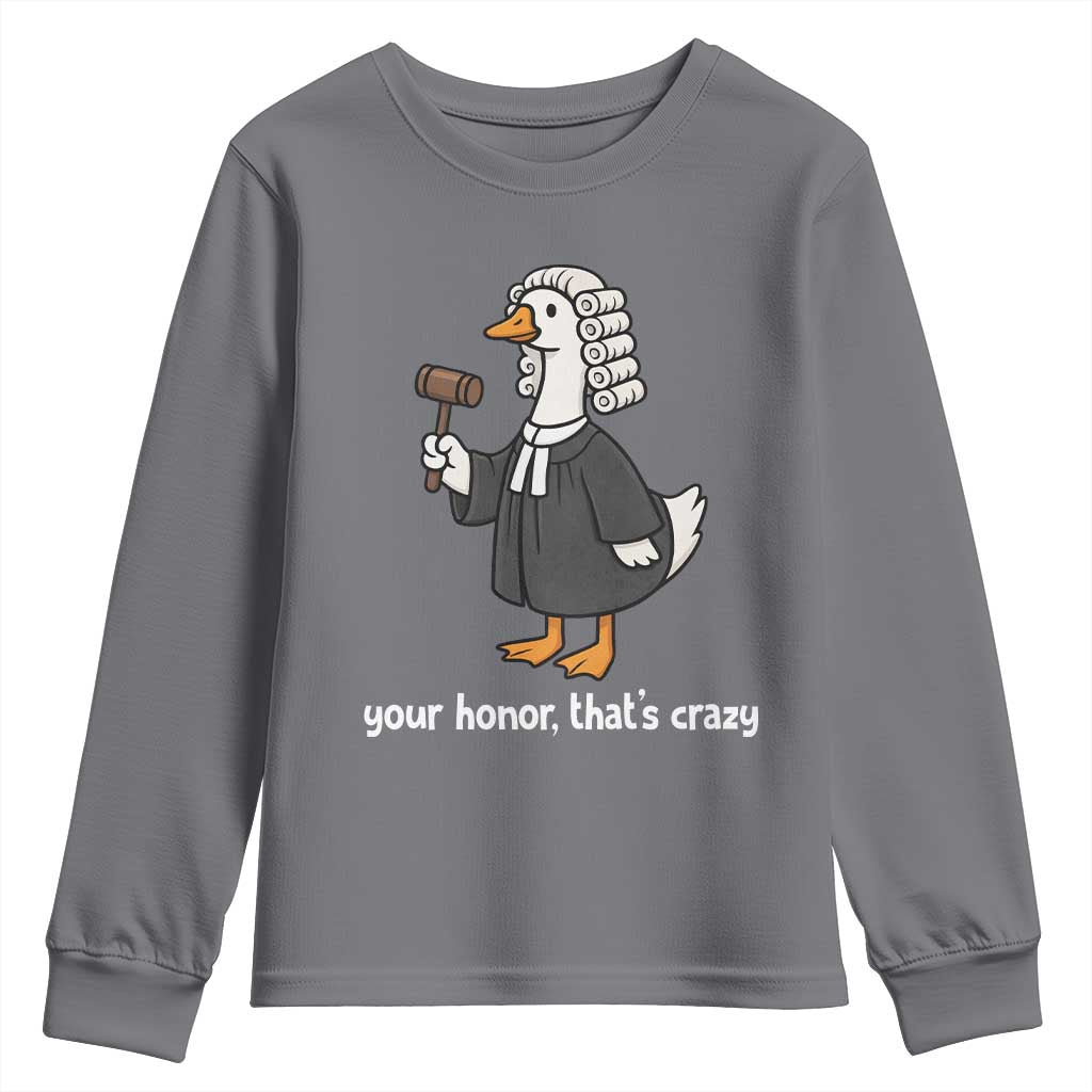 Goose Lawyer Youth Sweatshirt Law School Graduation Gift Funny Silly Gooses Lovers TS10 Charcoal Print Your Wear