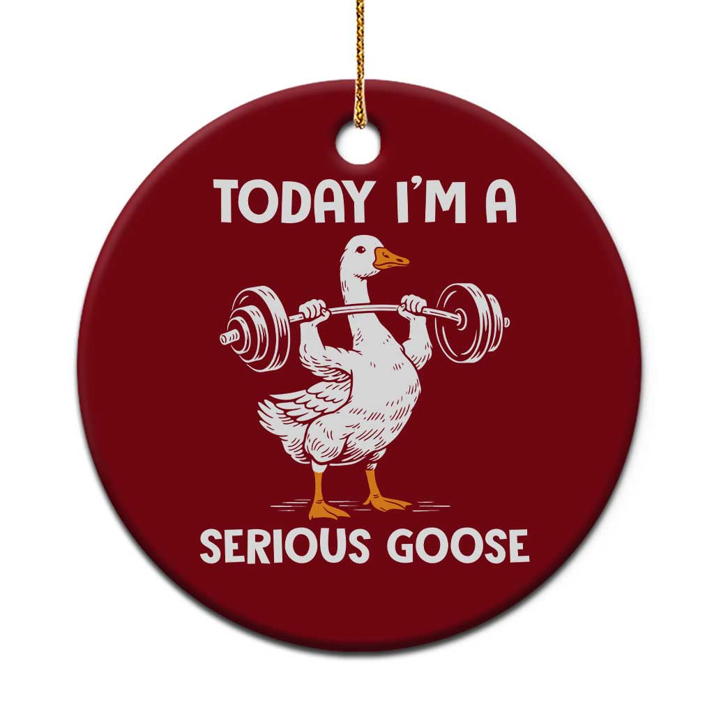 Funny Goose Weight Lifting Ceramic Ornament Today Im A Serious Goose Weightlifter Gym Workout TS10 1pc Red Print Your Wear