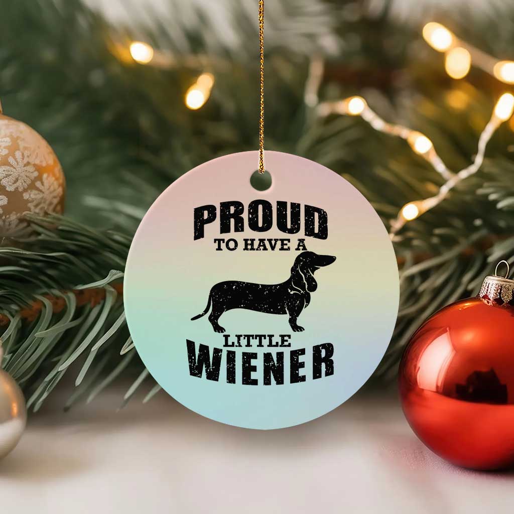 Proud to Have A Little Wiener Ceramic Ornament Funny Offensive Dachshund Retro 90s TS10 1pc Pastel Print Your Wear