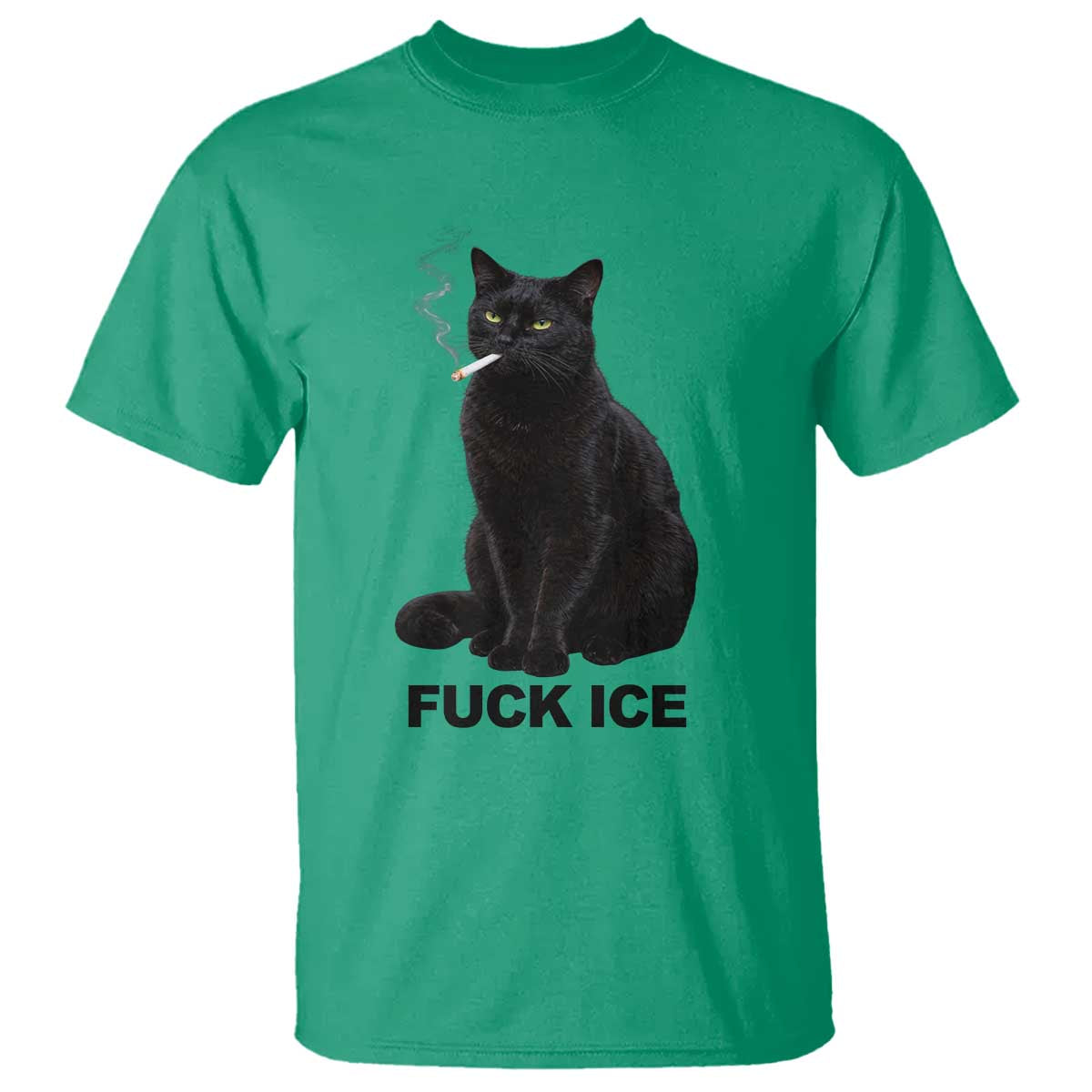 Fck Ice Smoking Cat T Shirt Subtle FDT Black Cat Meme TS10 Irish Green Print Your Wear