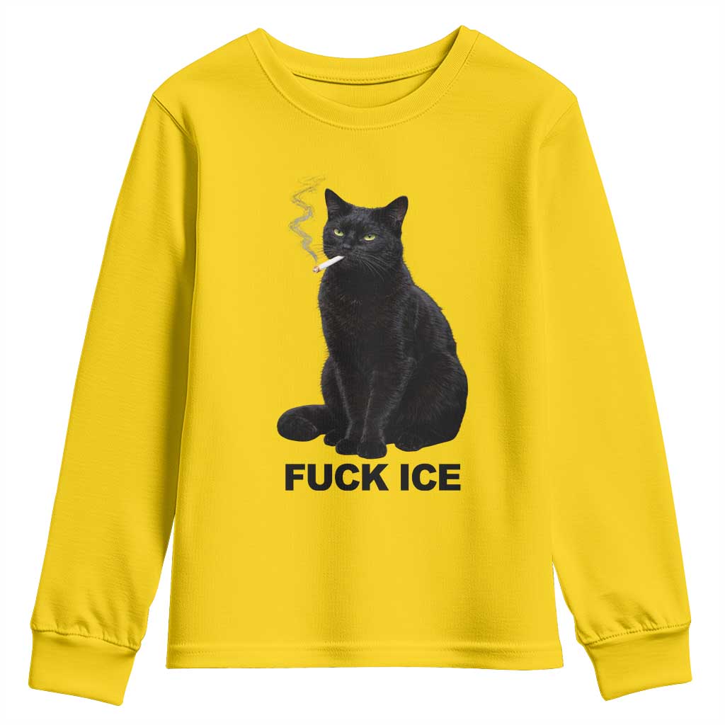 Fck Ice Smoking Cat Youth Sweatshirt Subtle FDT Black Cat Meme TS10 Daisy Print Your Wear