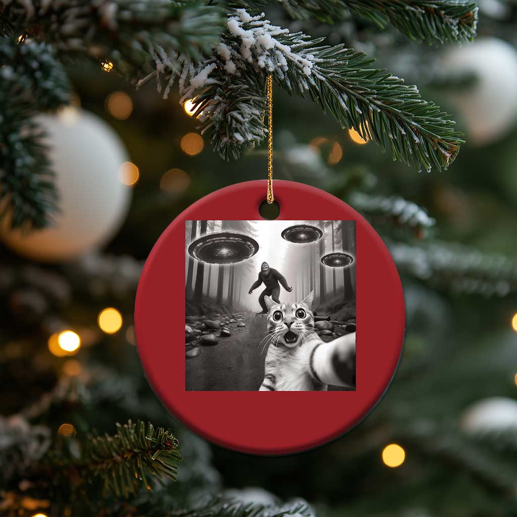 Cat Selfie With Bigfoot UFO Christmas Ornament Funny Cat Lover Gifts TS10 Print Your Wear