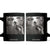 Raccoon Selfie With Bigfoot UFO Coffee Mug Funny Feral Lover Gifts TS10 Black Print Your Wear