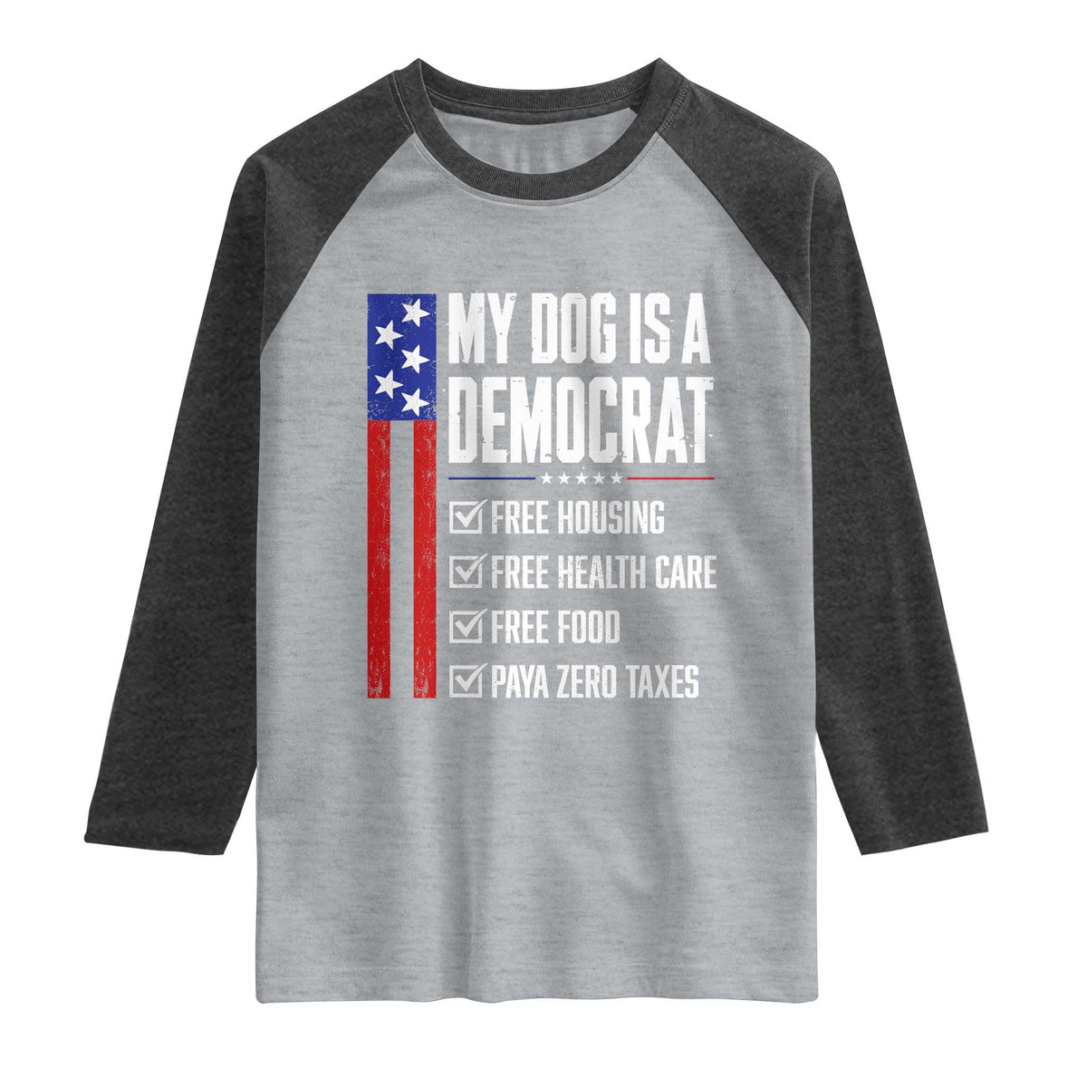 My Dog Is A Democrat Funny Political Satire Raglan Shirt Patriotic Dog Lover Graphic Subtle FDT Humor TS10 Heather Gray Heather Charcoal Print Your Wear