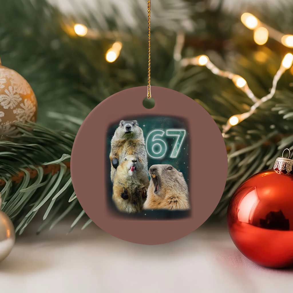67 Meme Groundhog Ceramic Ornament Howling At The Moon Funny Six Seven Meme Ground Hog Day TS10 1pc Mocha Print Your Wear