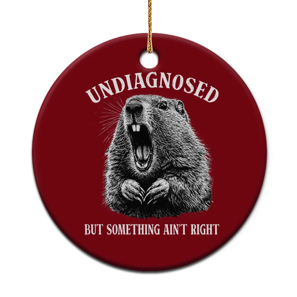 Funny Groundhog Meme Undiagnosed But Something Aint Right Ceramic Ornament TS10 1pc Red Print Your Wear