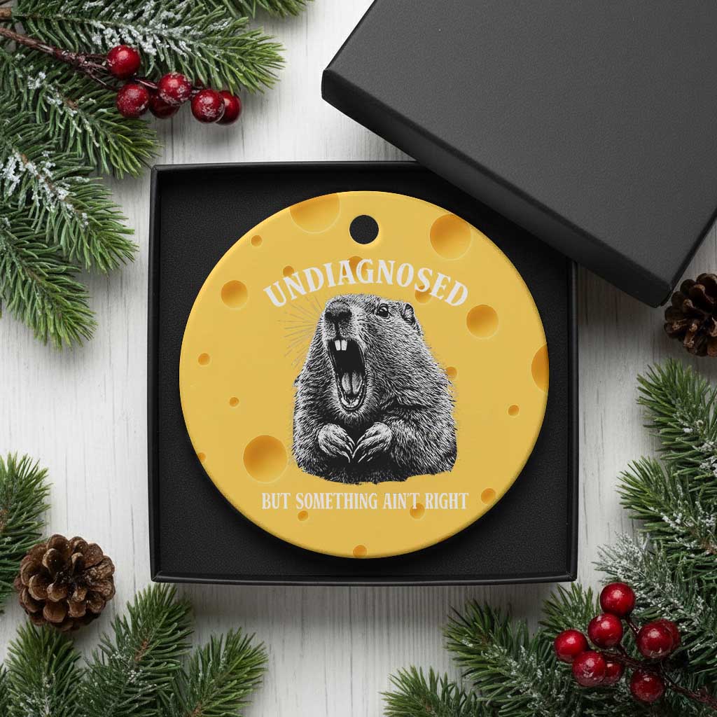 Funny Groundhog Meme Undiagnosed But Something Aint Right Ceramic Ornament TS10 1pc Yellow Cheese Print Your Wear