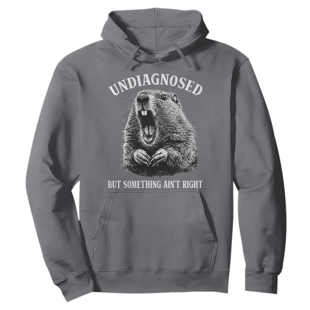 Funny Groundhog Meme Undiagnosed But Something Aint Right Hoodie TS10 Charcoal Print Your Wear