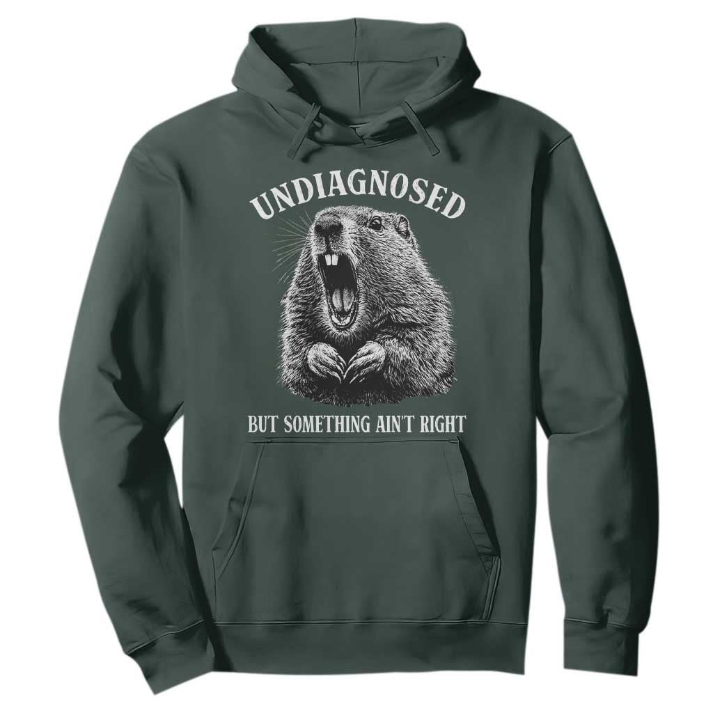 Funny Groundhog Meme Undiagnosed But Something Aint Right Hoodie TS10 Dark Forest Green Print Your Wear