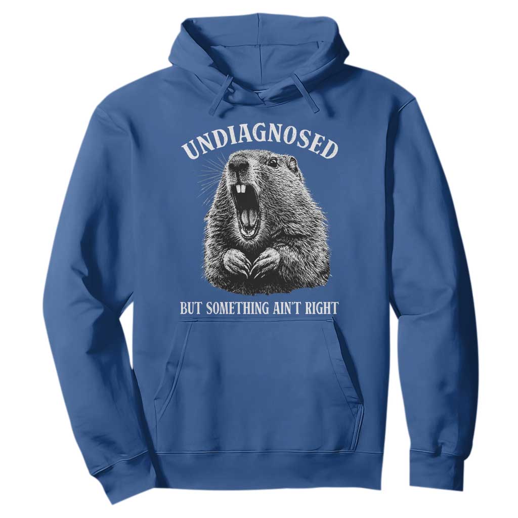 Funny Groundhog Meme Undiagnosed But Something Aint Right Hoodie TS10 Royal Blue Print Your Wear