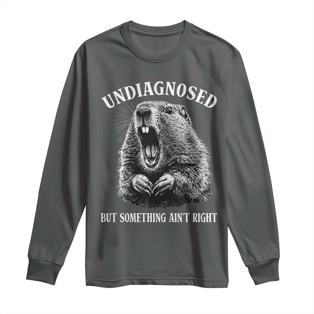 Funny Groundhog Meme Undiagnosed But Something Aint Right Long Sleeve Shirt TS10 Dark Heather Print Your Wear