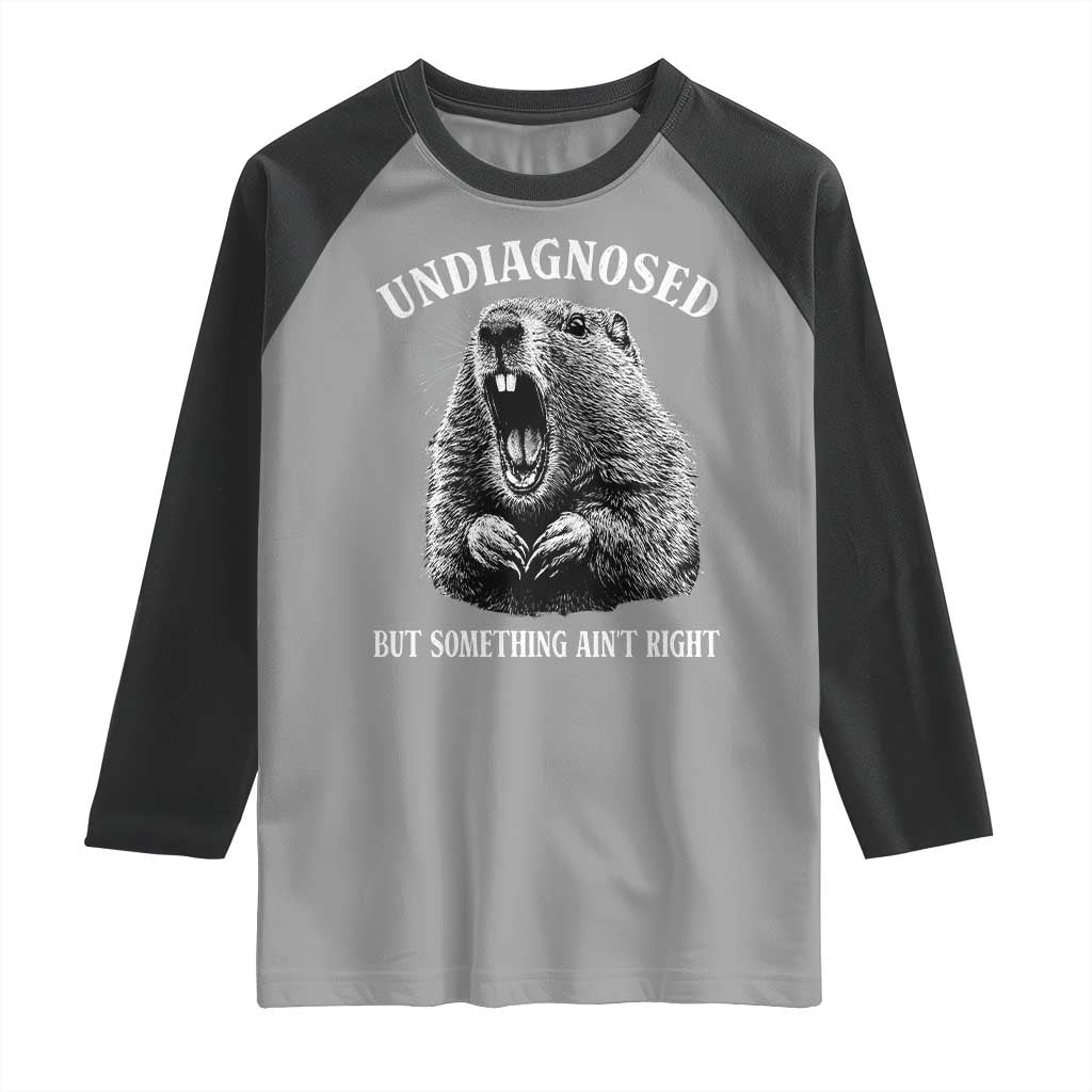 Funny Groundhog Meme Undiagnosed But Something Aint Right Raglan Shirt TS10 Sport Gray Black Print Your Wear