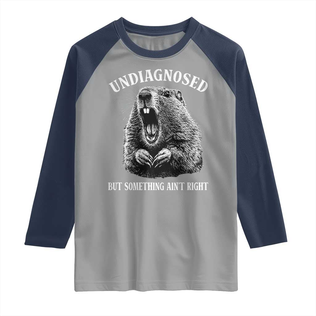 Funny Groundhog Meme Undiagnosed But Something Aint Right Raglan Shirt TS10 Sport Gray Navy Print Your Wear