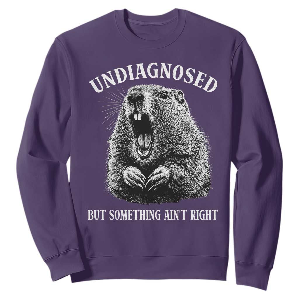 Funny Groundhog Meme Undiagnosed But Something Aint Right Sweatshirt TS10 Purple Print Your Wear