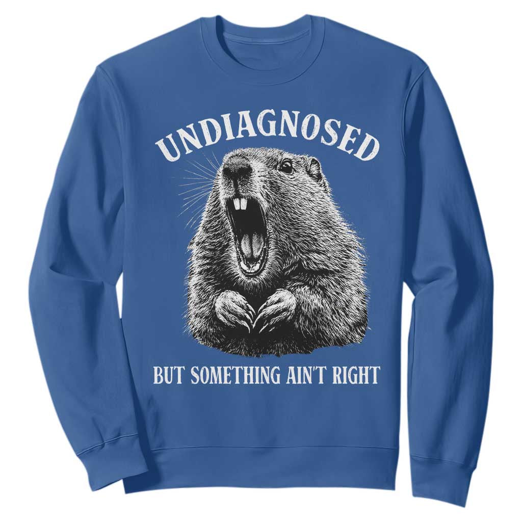 Funny Groundhog Meme Undiagnosed But Something Aint Right Sweatshirt TS10 Royal Blue Print Your Wear