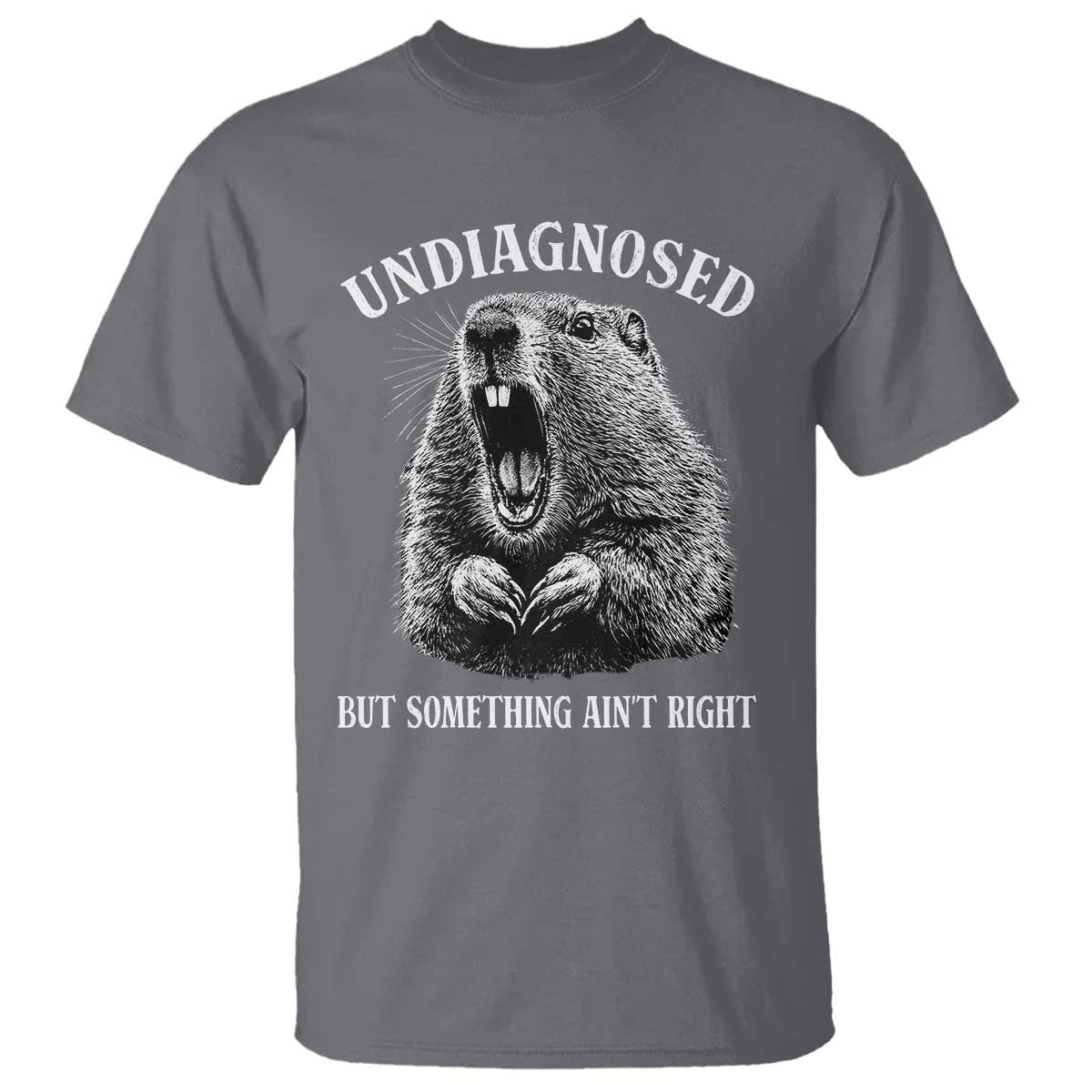 Funny Groundhog Meme Undiagnosed But Something Aint Right T Shirt TS10 Charcoal Print Your Wear