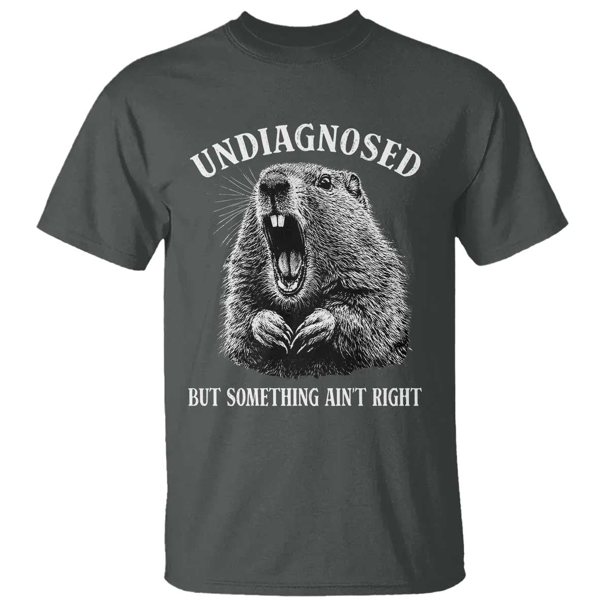 Funny Groundhog Meme Undiagnosed But Something Aint Right T Shirt TS10 Dark Heather Print Your Wear