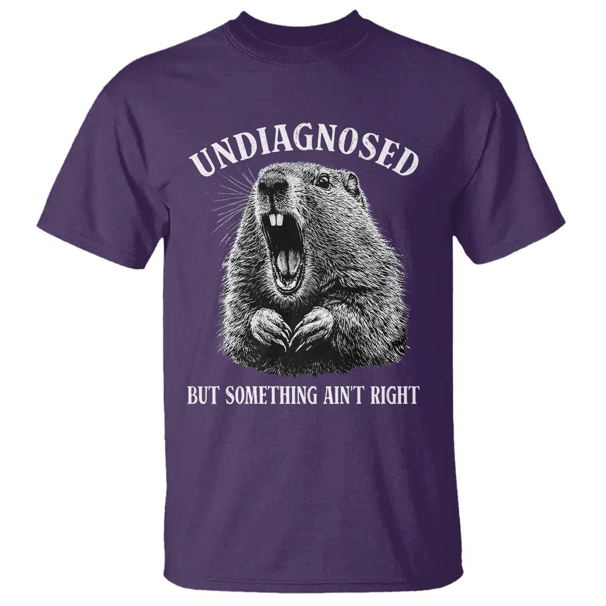 Funny Groundhog Meme Undiagnosed But Something Aint Right T Shirt TS10 Purple Print Your Wear