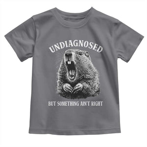 Funny Groundhog Meme Undiagnosed But Something Aint Right Toddler T Shirt TS10 Charcoal Print Your Wear