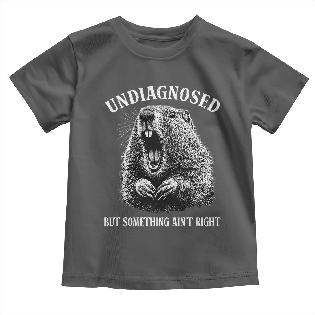 Funny Groundhog Meme Undiagnosed But Something Aint Right Toddler T Shirt TS10 Dark Heather Print Your Wear