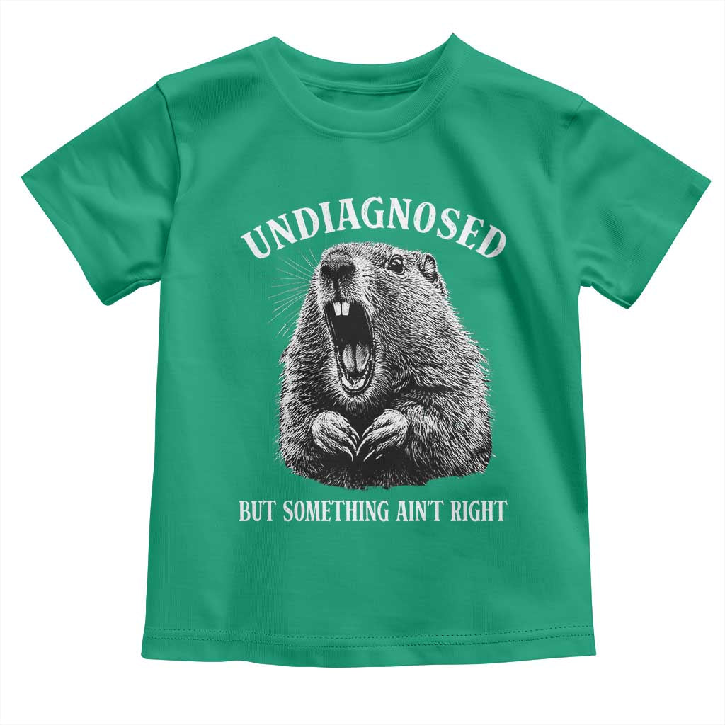 Funny Groundhog Meme Undiagnosed But Something Aint Right Toddler T Shirt TS10 Irish Green Print Your Wear