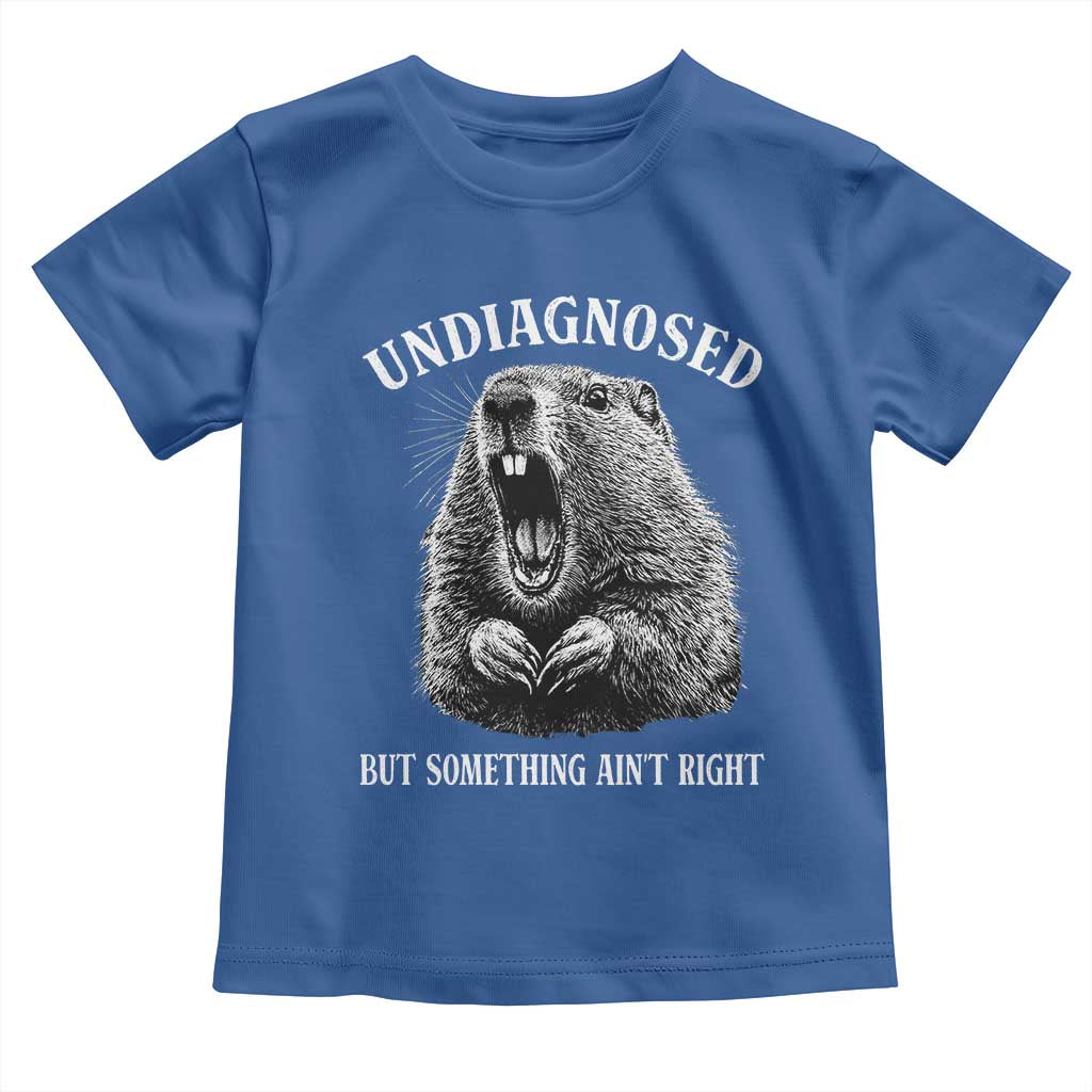 Funny Groundhog Meme Undiagnosed But Something Aint Right Toddler T Shirt TS10 Royal Blue Print Your Wear