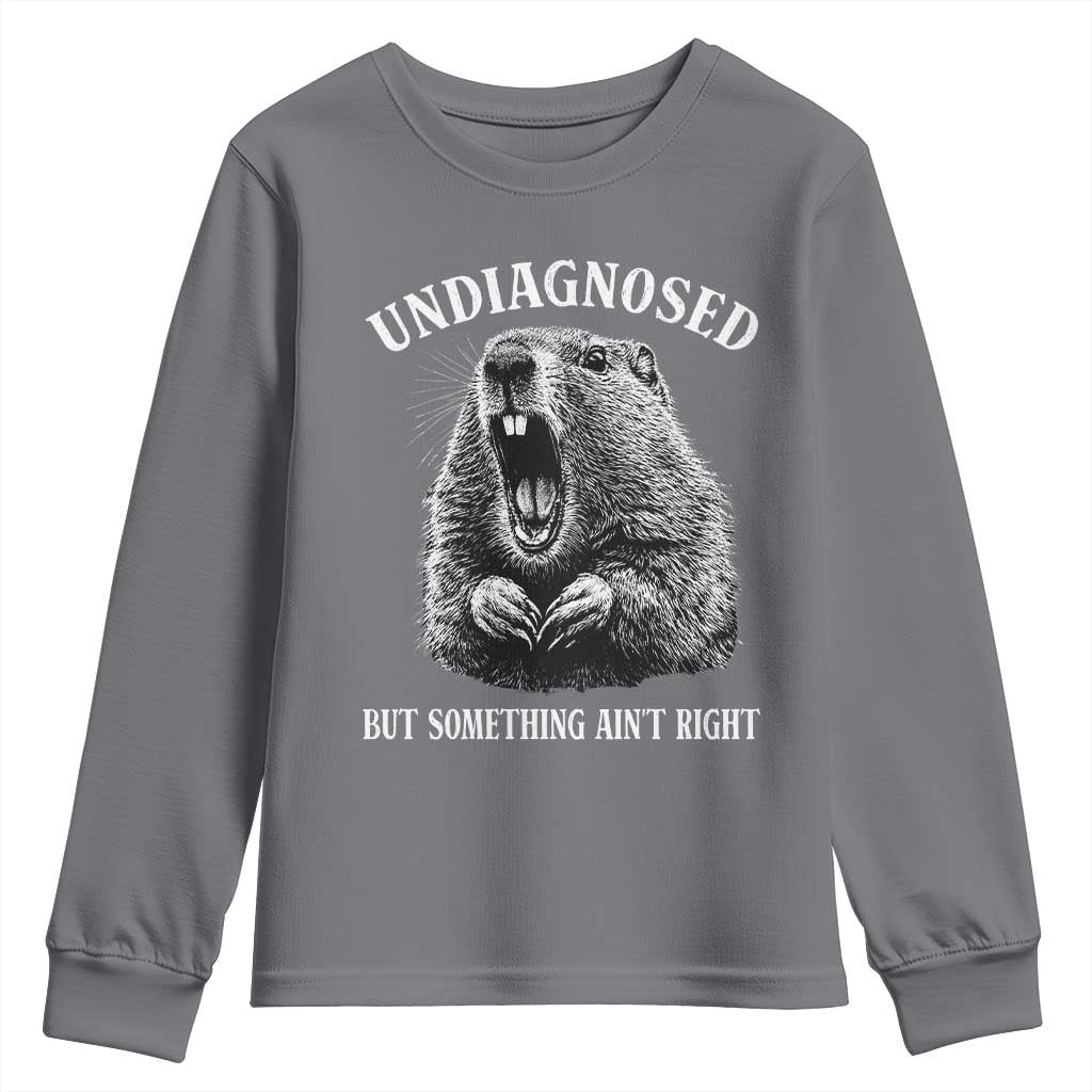 Funny Groundhog Meme Undiagnosed But Something Aint Right Youth Sweatshirt TS10 Charcoal Print Your Wear